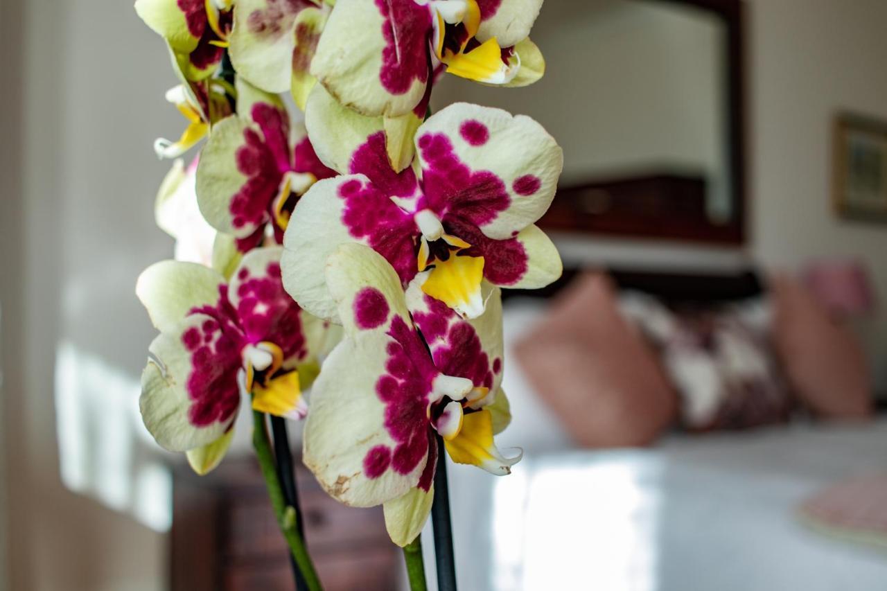 Carmichael House Boutique Hotel Cape Town Luaran gambar