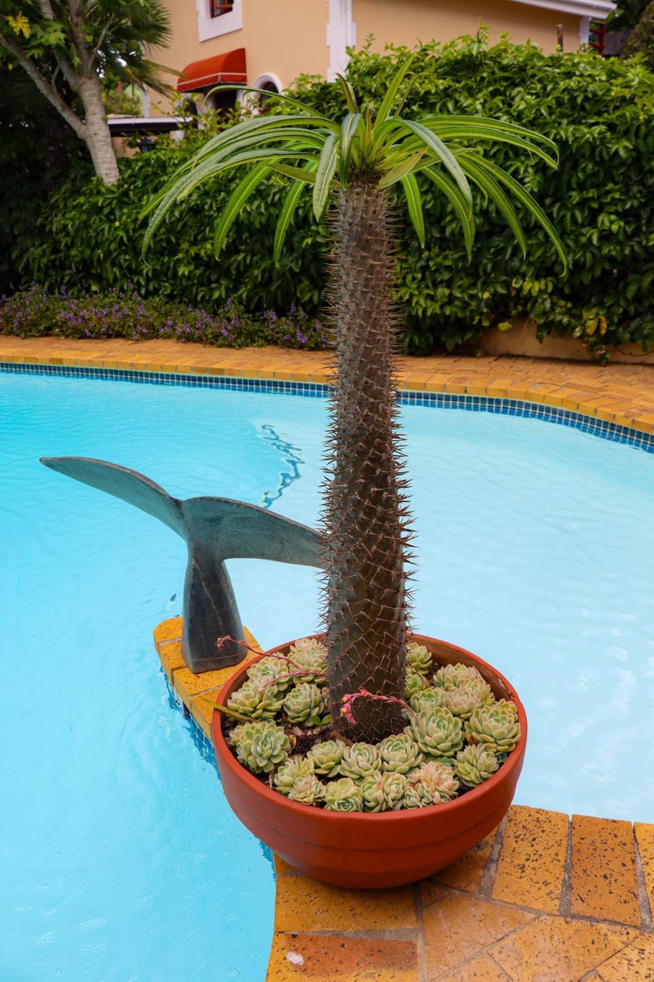 Carmichael House Boutique Hotel Cape Town Luaran gambar