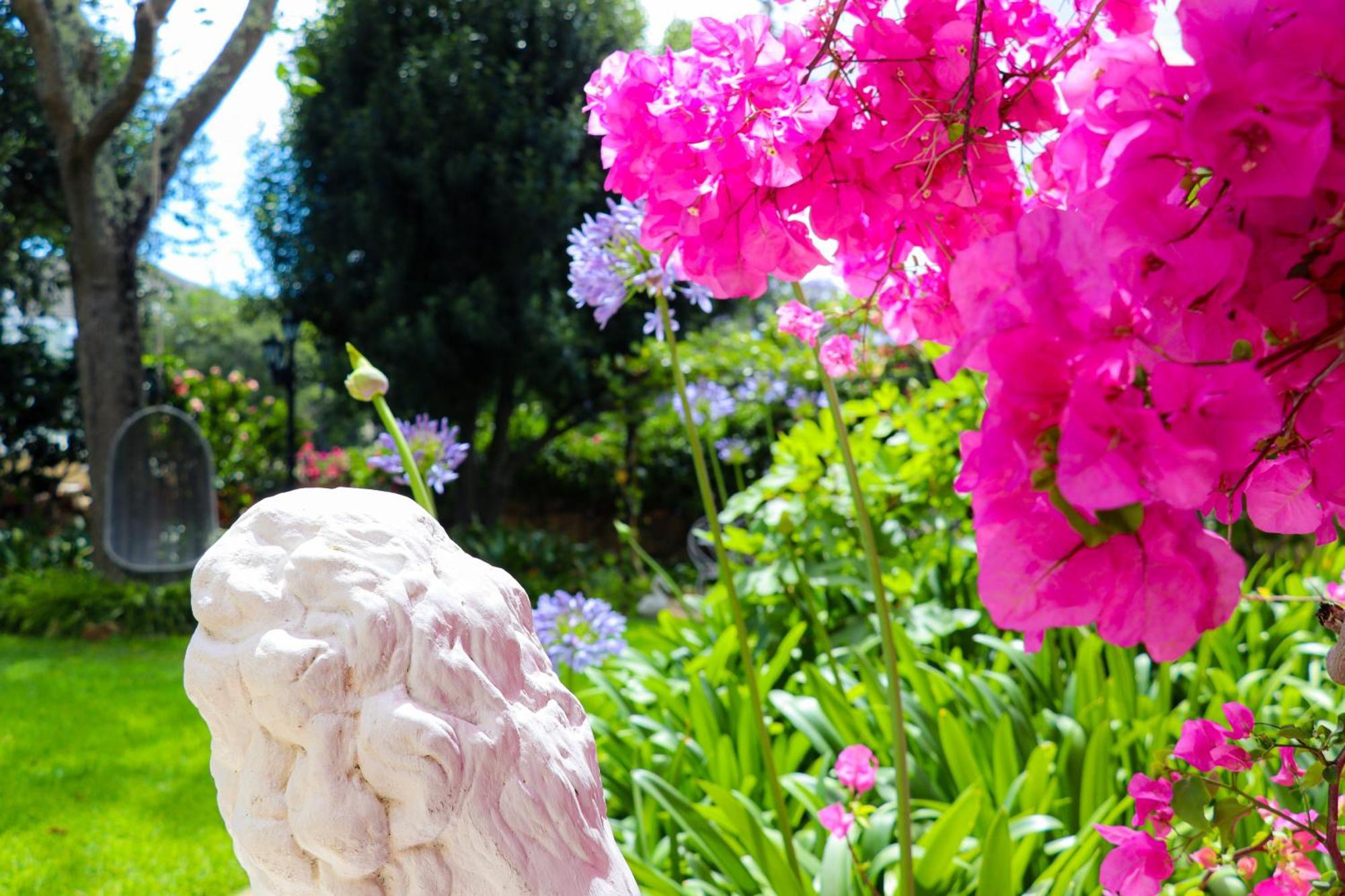 Carmichael House Boutique Hotel Cape Town Luaran gambar