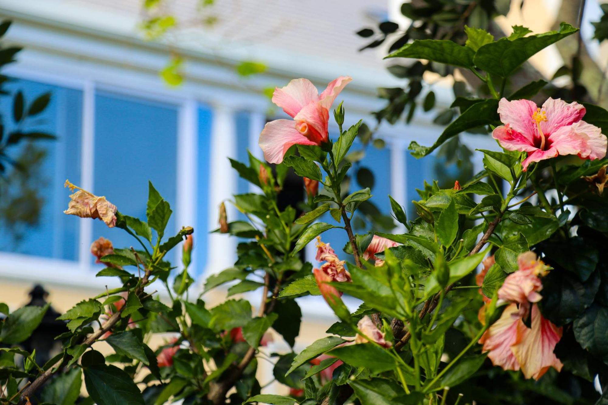 Carmichael House Boutique Hotel Cape Town Luaran gambar