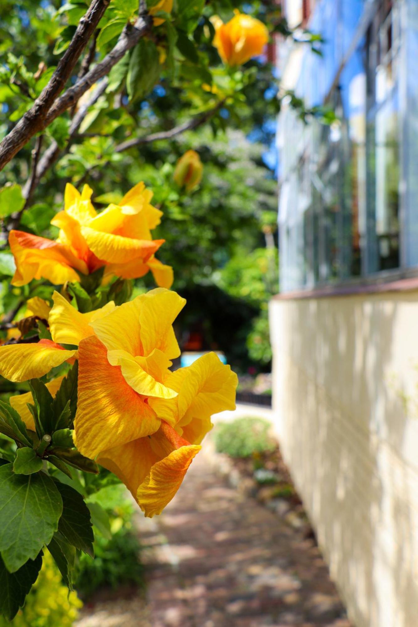 Carmichael House Boutique Hotel Cape Town Luaran gambar